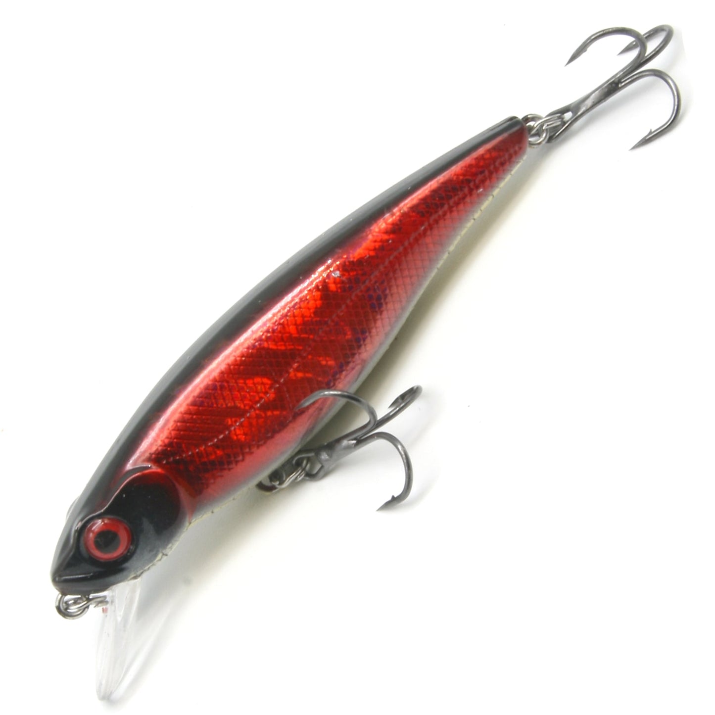 3.3" Snake Anchovy