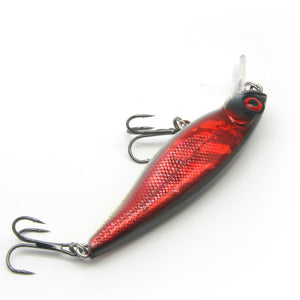 3.3" Snake Anchovy