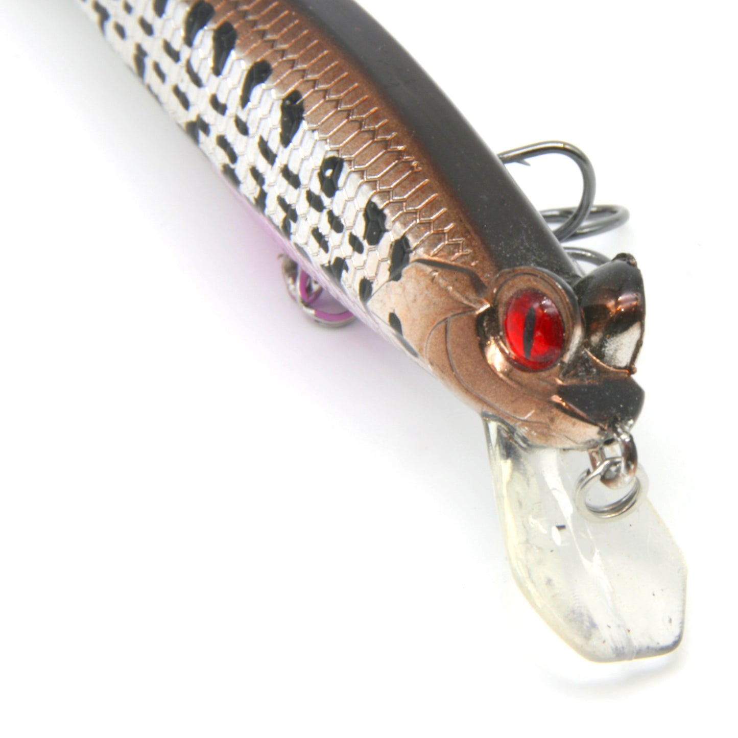 3.5" Frog-eyed Minnow