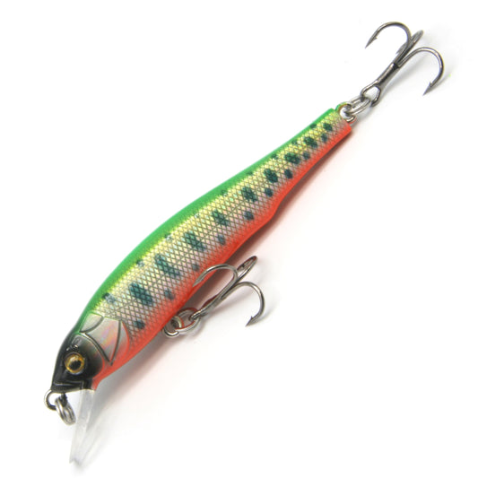 2.8" Classic Anchovy