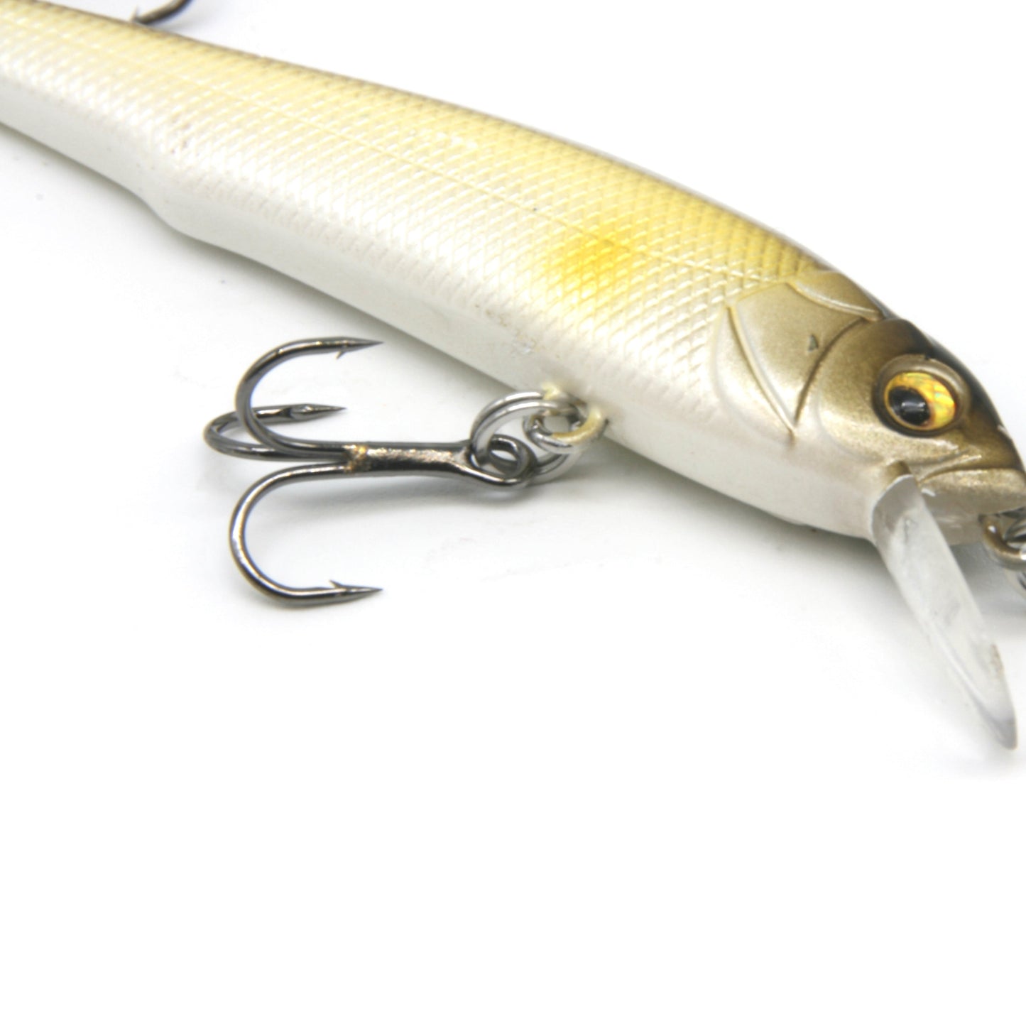 2.8" Classic Anchovy