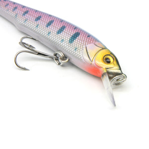 2.8" Classic Anchovy