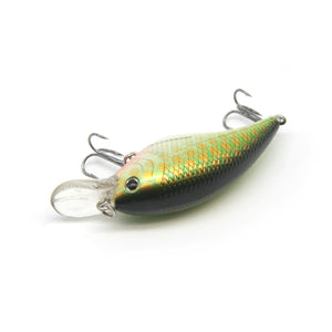 2.4" Belly Shad
