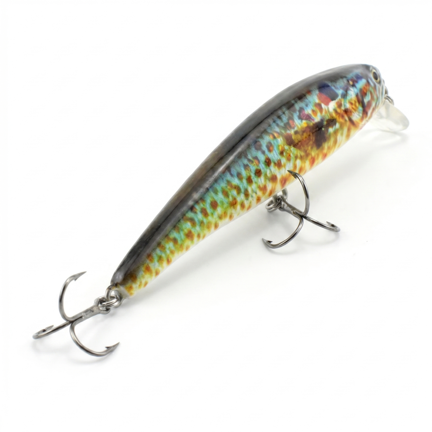 4.7" Open Mouthed Anchovy