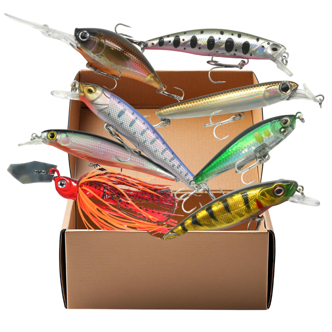 Build Your Own Bait Box