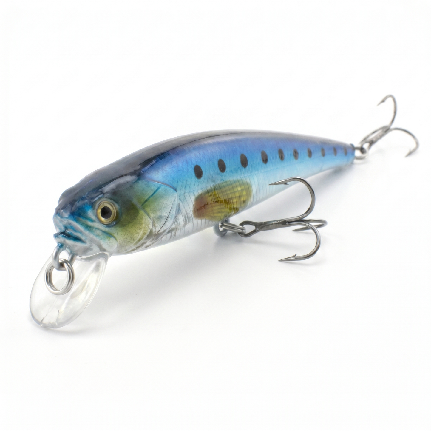 4.7" Open Mouthed Anchovy