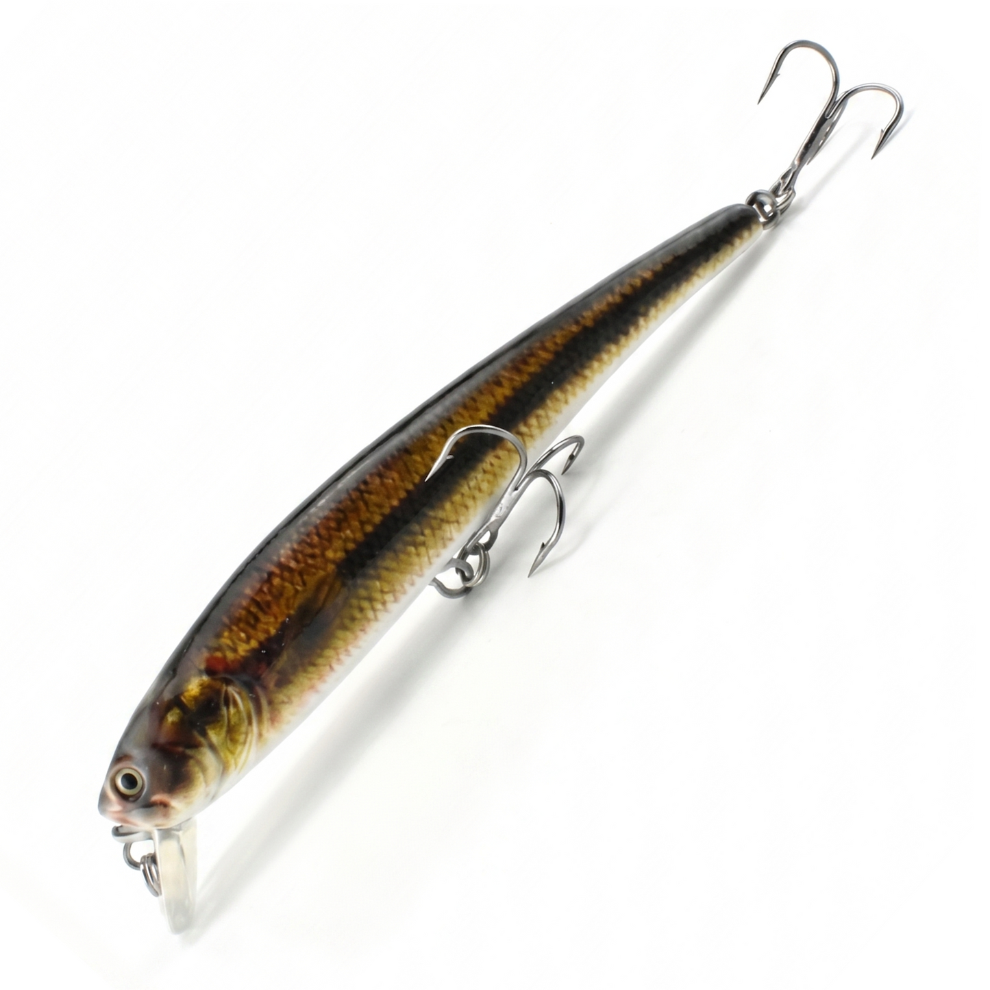 4.7" Open Mouthed Anchovy