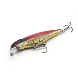 3.3" Snake Anchovy