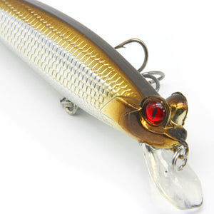 3.5" Frog-eyed Minnow