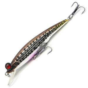 3.5" Frog-eyed Minnow