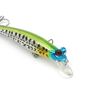 3.5" Frog-eyed Minnow