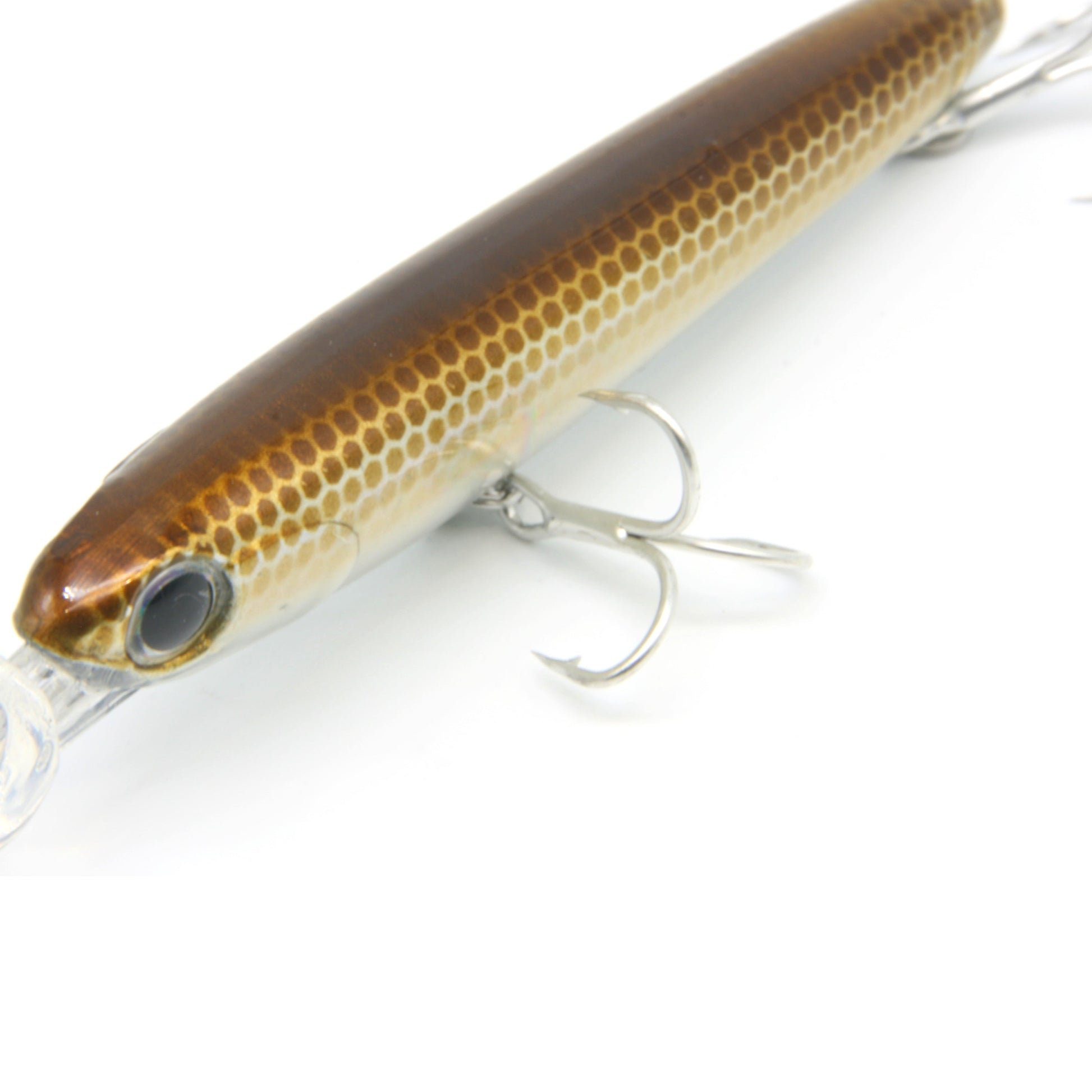 3" Rocket Fry Crankbait Fishing Lure Pinnacle Baits 3" Rocket Fry Crankbait Fishing Lure Pinnacle Baits