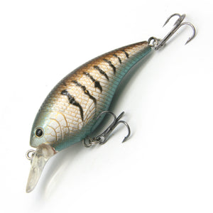 2.4" Belly Shad